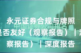 永元证券合规与牌照：量化是否友好（观察报告）｜深度报告