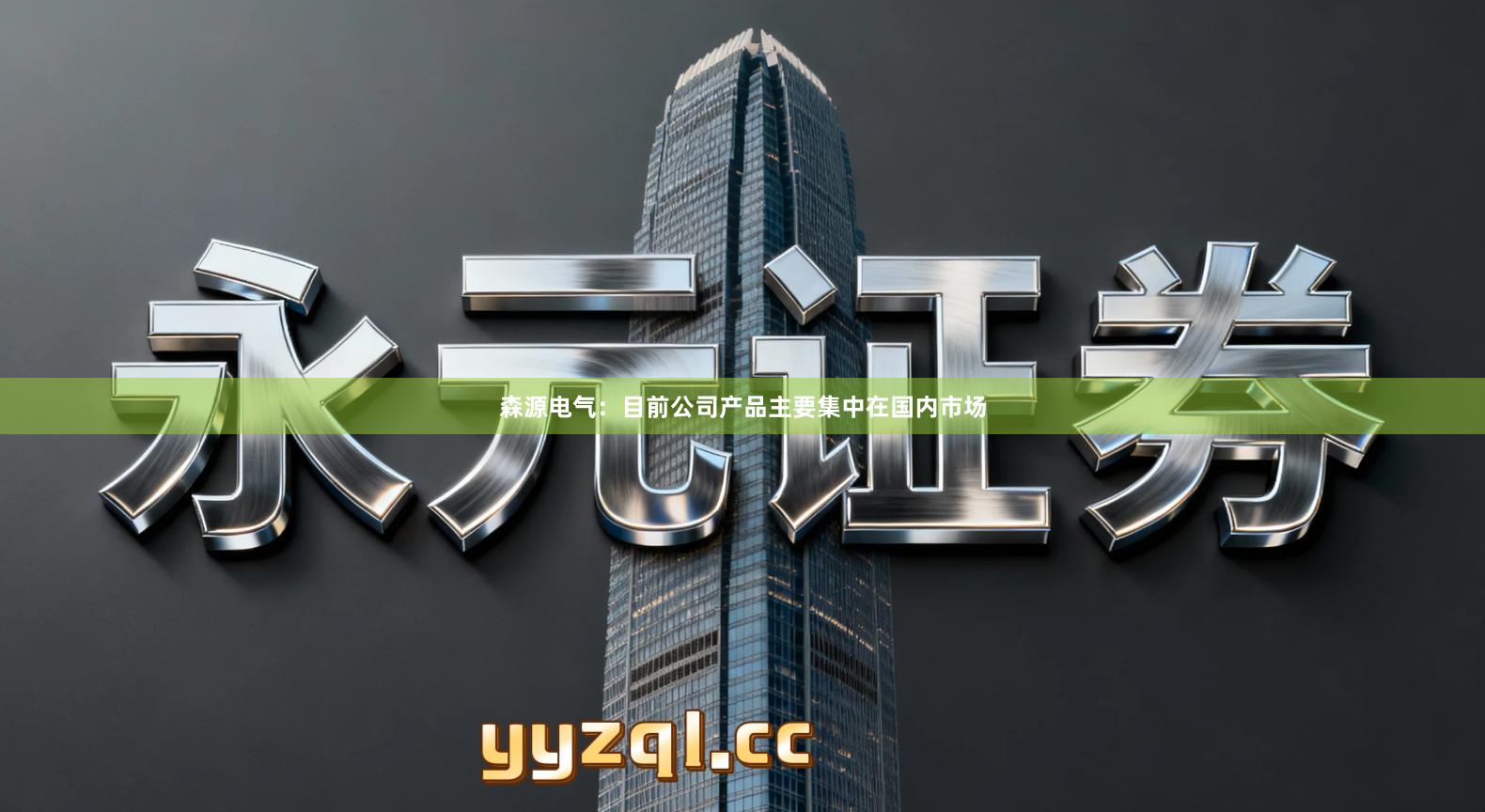 森源电气：目前公司产品主要集中在国内市场